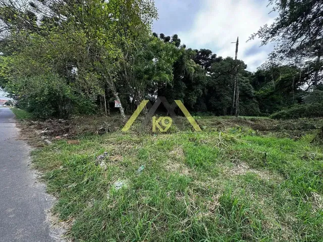 Imagem: Terreno Medindo 1250M² À Venda no Bairro