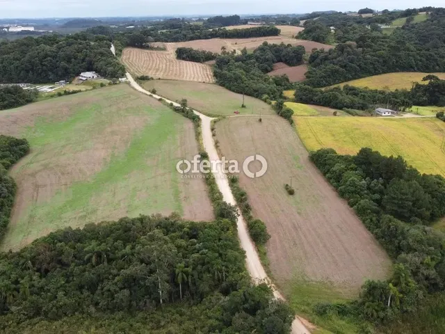 Imagem: Terreno / Chácara em Araucária / Thomaz