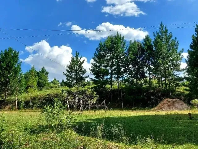 Imagem: Campo Largo, Ferraria, Chácara 51.425M²