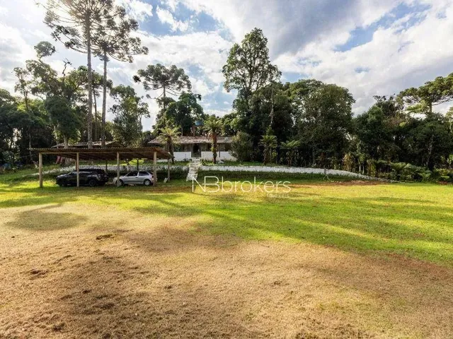 Imagem 8: Chácara com 3 Dormitórios À Venda, 20000 M² por R$ 800.000,00 - Área Rural de São