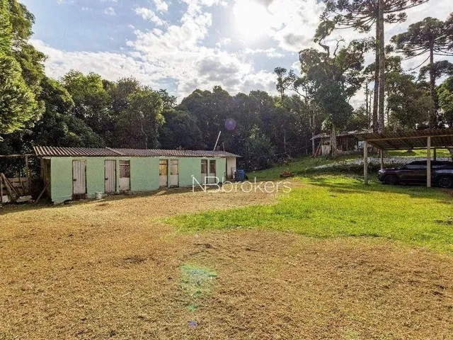 Imagem 7: Chácara com 3 Dormitórios À Venda, 20000 M² por R$ 800.000,00 - Área Rural de São