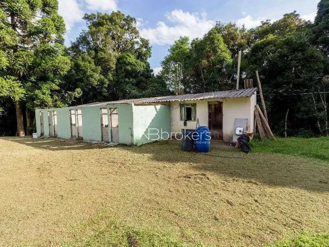 Imagem 16: Chácara com 3 Dormitórios À Venda, 20000 M² por R$ 800.000,00 - Área Rural de São