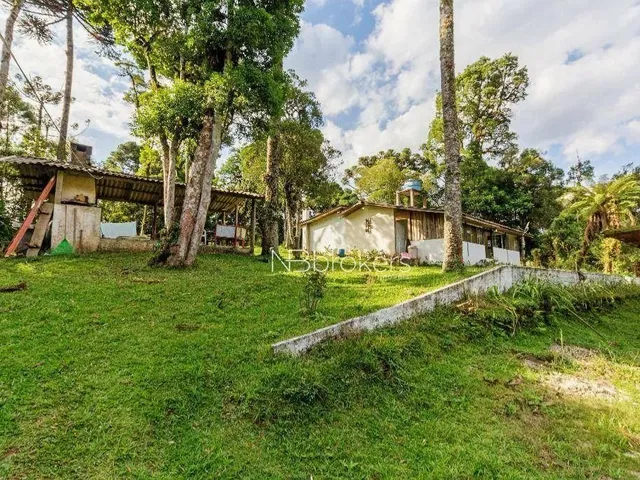 Imagem 15: Chácara com 3 Dormitórios À Venda, 20000 M² por R$ 800.000,00 - Área Rural de São