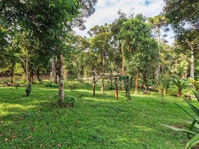 Imagem 10: Chácara com 3 Dormitórios À Venda, 20000 M² por R$ 800.000,00 - Área Rural de São