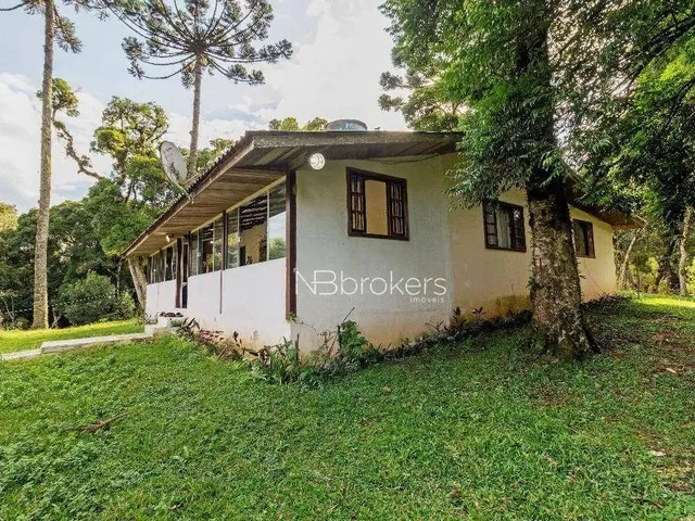 Imagem 3: Chácara com 3 Dormitórios À Venda, 20000 M² por R$ 800.000,00 - Área Rural de São