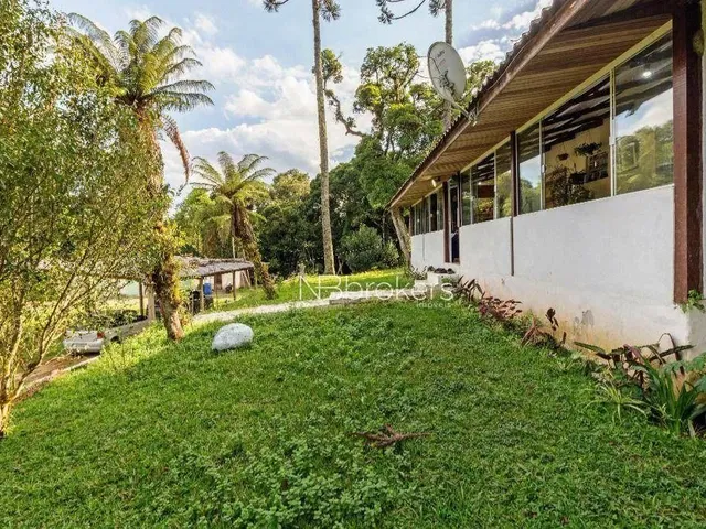 Imagem 2: Chácara com 3 Dormitórios À Venda, 20000 M² por R$ 800.000,00 - Área Rural de São