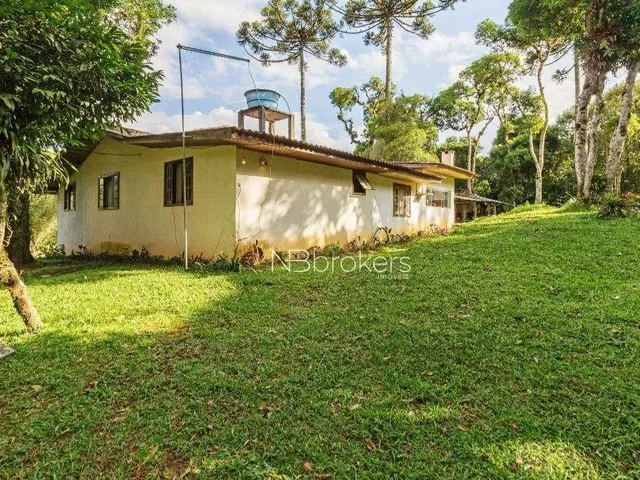 Imagem 14: Chácara com 3 Dormitórios À Venda, 20000 M² por R$ 800.000,00 - Área Rural de São