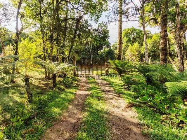 Imagem 13: Chácara com 3 Dormitórios À Venda, 20000 M² por R$ 800.000,00 - Área Rural de São