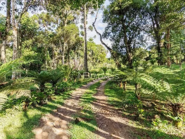 Imagem 5: Chácara com 3 Dormitórios À Venda, 20000 M² por R$ 800.000,00 - Área Rural de São