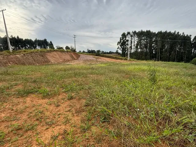 Imagem 3: Vendo Terreno Pronto pra Construir