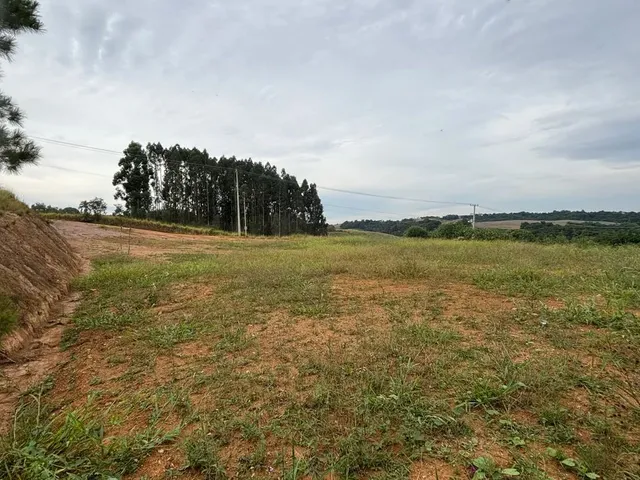 Imagem 6: Vendo Terreno Pronto pra Construir