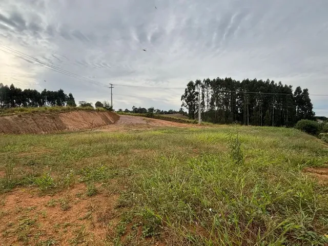 Imagem 8: Vendo Terreno Pronto pra Construir