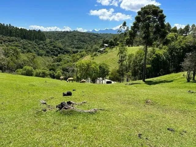 Imagem 9: Chácara Moradia / Lazer