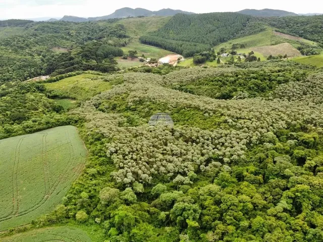 Imagem: Vendas Chácara Almirante Tamandaré Pr