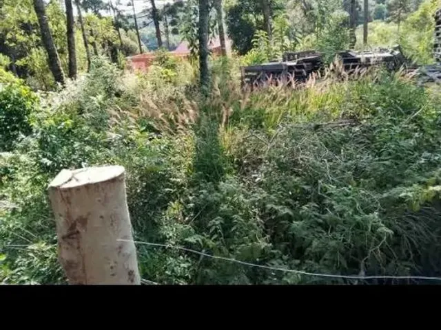 Imagem: Terreno Roça Velha São José dos Pinhais