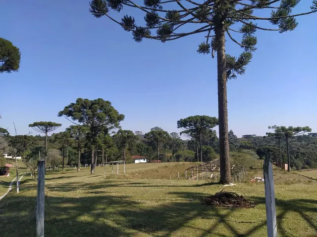 Imagem: Paraíso do Sul