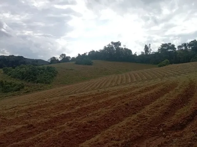 Imagem: Terreno Rural 7,5 Alqueires