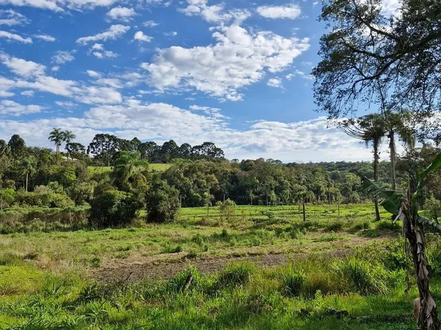 Imagem: Vende-Se Chácara em Tijucas do Sul