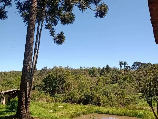 Imagem 2: Vende-Se Chácara em Tijucas do Sul