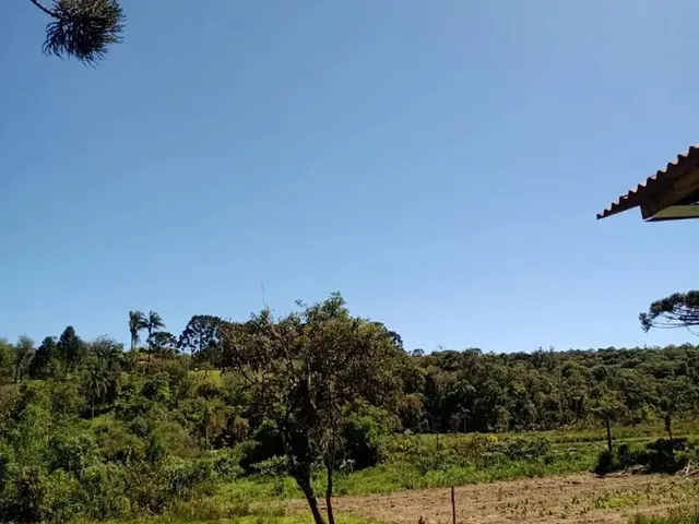 Imagem 3: Vende-Se Chácara em Tijucas do Sul