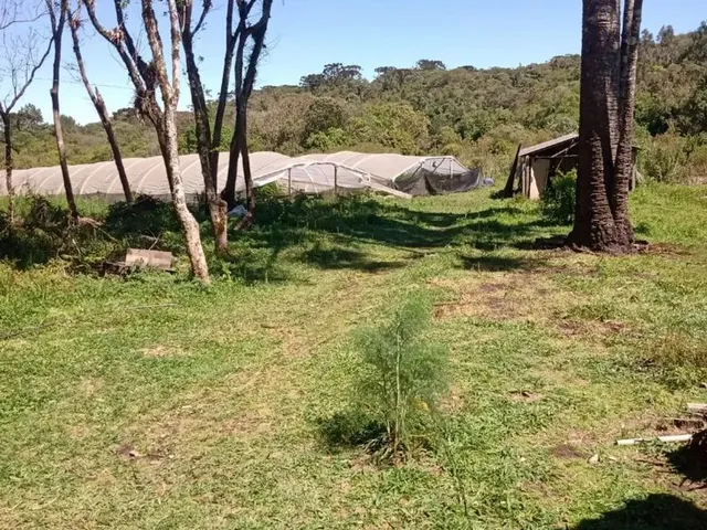 Imagem 5: Vende-Se Chácara em Tijucas do Sul