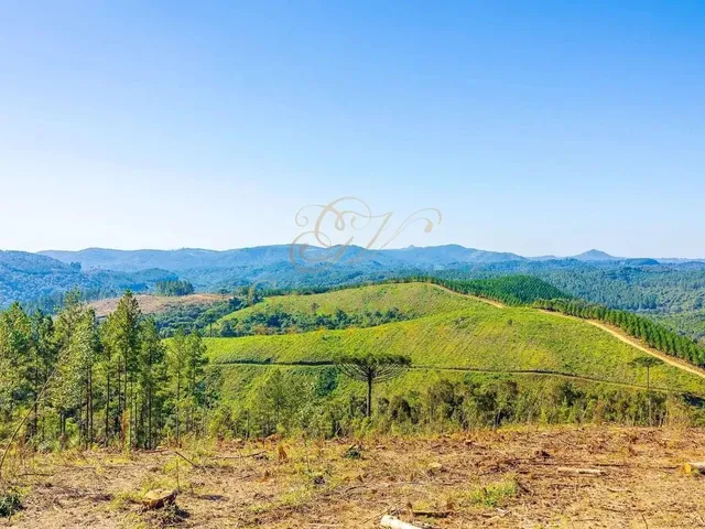Imagem: Campo Largo, À 6 Km do Asfalto, 111 Alqueires