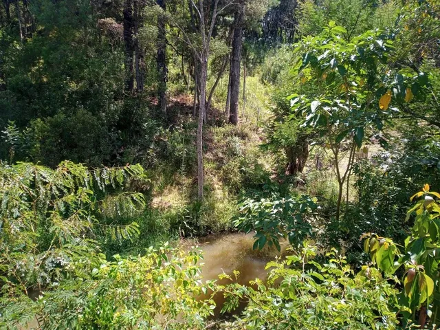 Imagem 4: Vendo Chácara em Bocaiúva do Sul, 10.000 Metros Escriturada. Fica a 2 Km da Cidade