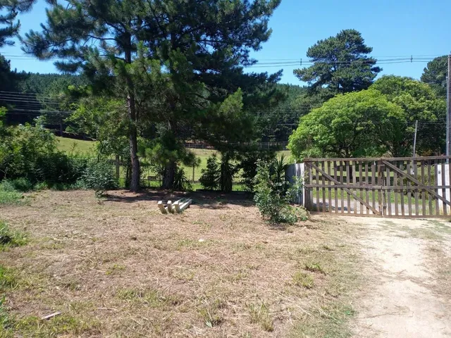 Imagem 6: Vendo Chácara em Bocaiúva do Sul, 10.000 Metros Escriturada. Fica a 2 Km da Cidade
