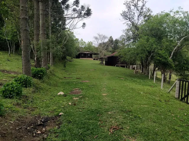 Imagem: Sítio, Ribeirão Branco