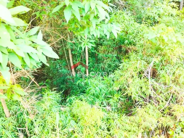 Imagem 10: Chácara em Avenida Independência - Campina das Pedras - Area Rural - Araucária/Pr