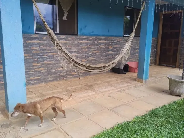 Imagem 2: Chácara no Interior de Campo Largo ,1 Alqueire