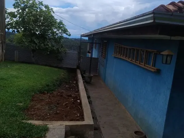 Imagem 5: Chácara no Interior de Campo Largo ,1 Alqueire