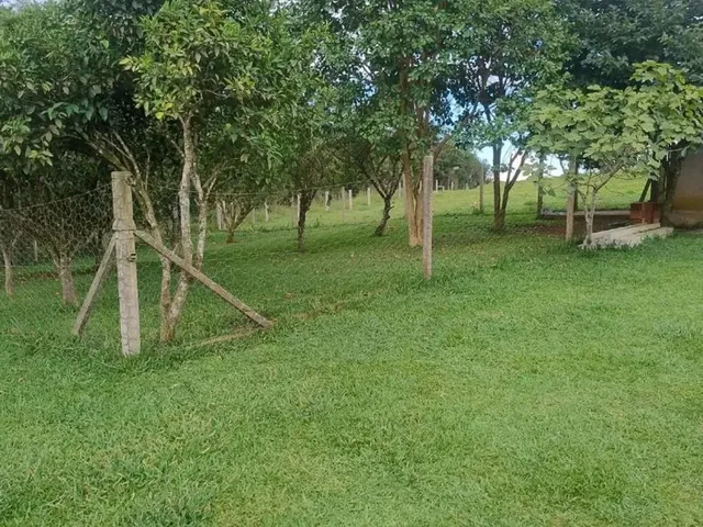 Imagem 6: Chácara no Interior de Campo Largo ,1 Alqueire