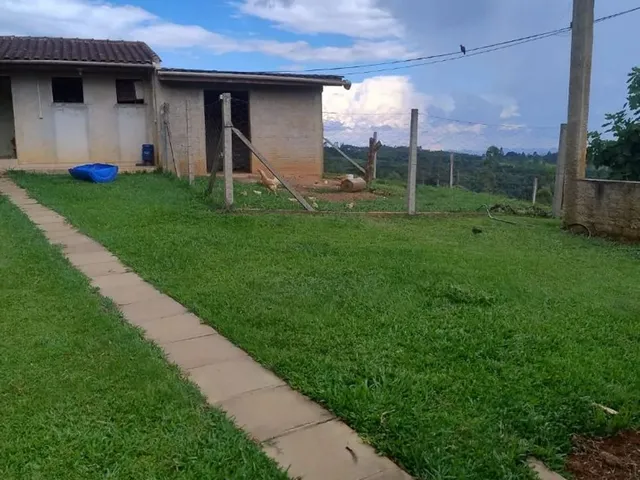 Imagem 7: Chácara no Interior de Campo Largo ,1 Alqueire