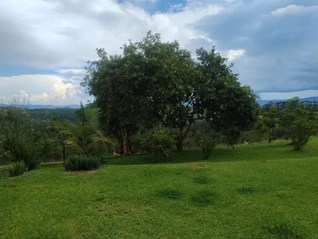 Imagem 8: Chácara no Interior de Campo Largo ,1 Alqueire