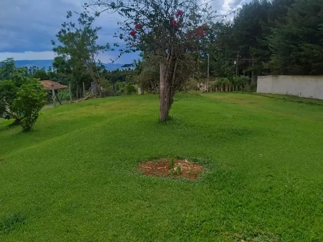Imagem 9: Chácara no Interior de Campo Largo ,1 Alqueire