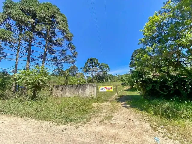 Imagem: Vendas Chácara Mandirituba Pr