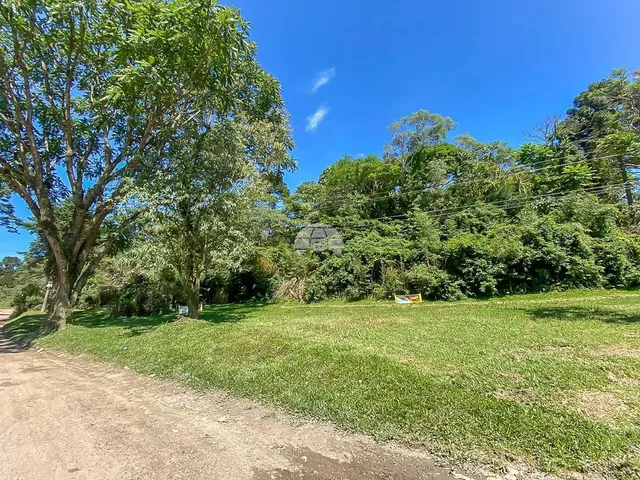 Imagem 2: Vendas Chácara Mandirituba Pr