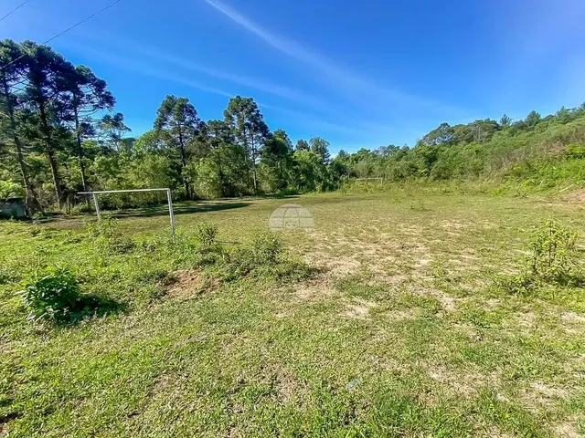 Imagem 7: Vendas Chácara Mandirituba Pr