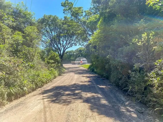 Imagem 3: Vendas Chácara Mandirituba Pr