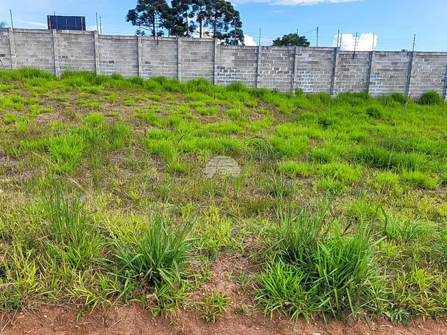 Imagem 11: Vendas Terreno Campo Largo Pr