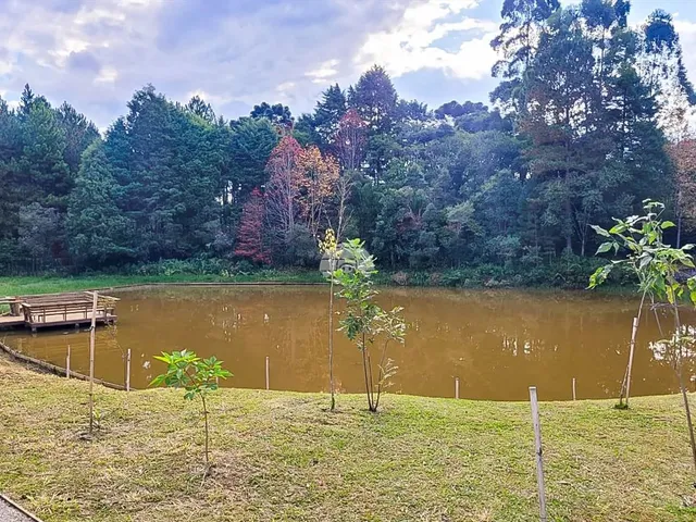 Imagem 10: Vendas Terreno Campo Largo Pr
