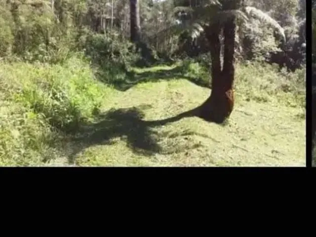 Imagem 3: Terreno Chácara 26.000 M2 Colombo