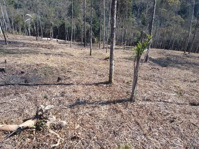 Imagem: Chacara Belas Áreas Roseira Colombo/ Campina