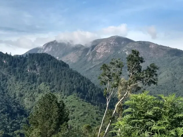 Imagem: Natureza Viva e Original