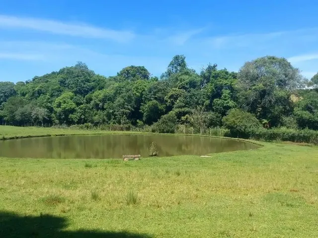 Imagem 11: Campo Largo, Jardim Florestal, Chácara 22.088M², Casa com Varanda, Lago, Cercada