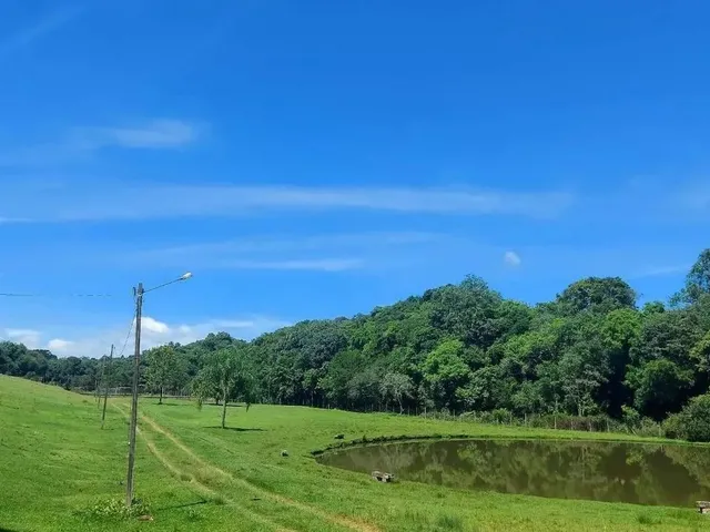 Imagem 8: Campo Largo, Jardim Florestal, Chácara 22.088M², Casa com Varanda, Lago, Cercada