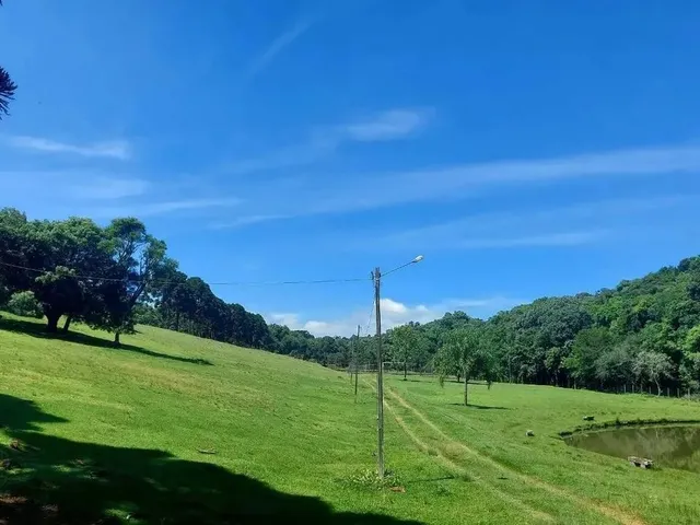 Imagem 13: Campo Largo, Jardim Florestal, Chácara 22.088M², Casa com Varanda, Lago, Cercada