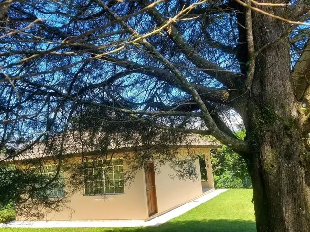 Imagem 12: Campo Largo, Jardim Florestal, Chácara 22.088M², Casa com Varanda, Lago, Cercada