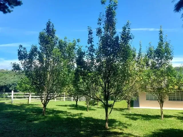 Imagem 3: Campo Largo, Jardim Florestal, Chácara 22.088M², Casa com Varanda, Lago, Cercada